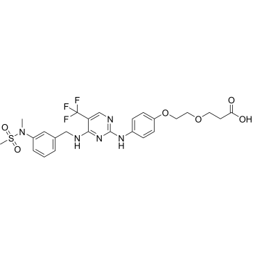 FAK ligand-Linker Conjugate 1Cas:2307461-45-4